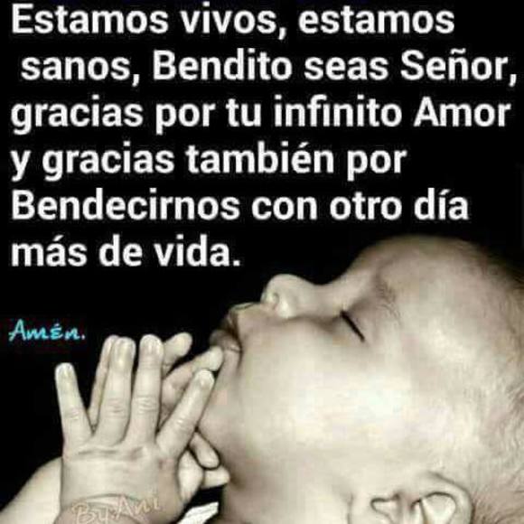 felibertoa
